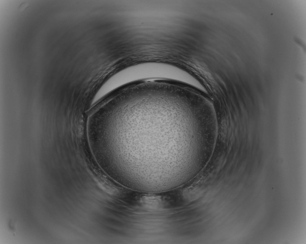 X0000091190413200708231513