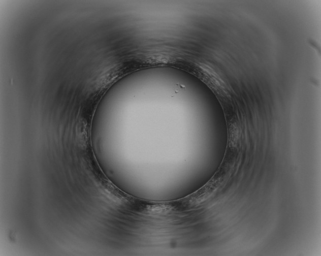 X0000091190414200708231513