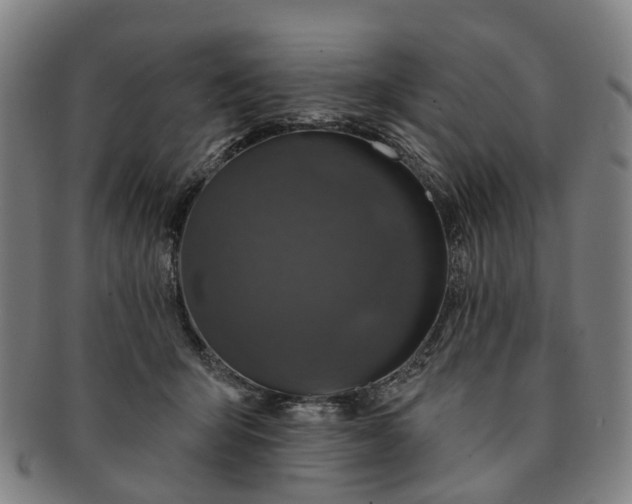 X0000091190415200708231513