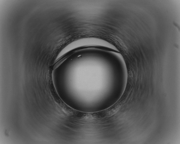 X0000091190416200708231513