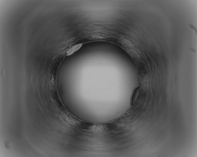 X0000091190418200708231513