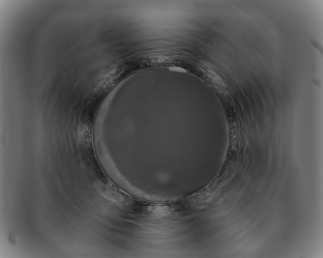 X0000091190419200708231513