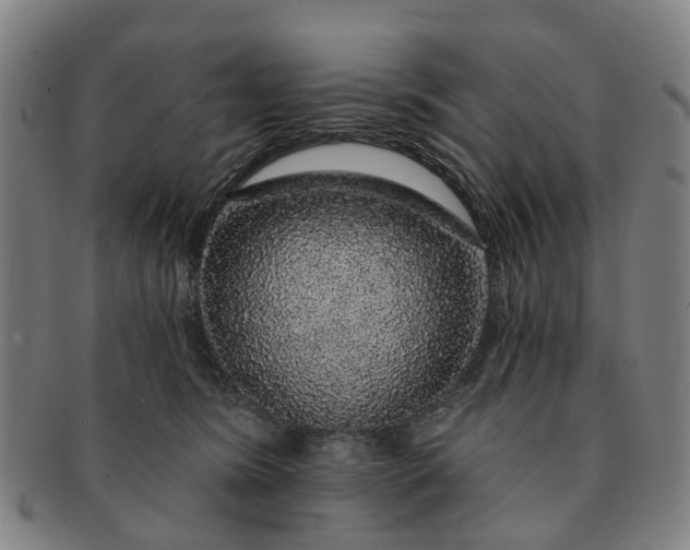 X0000091190420200708231513