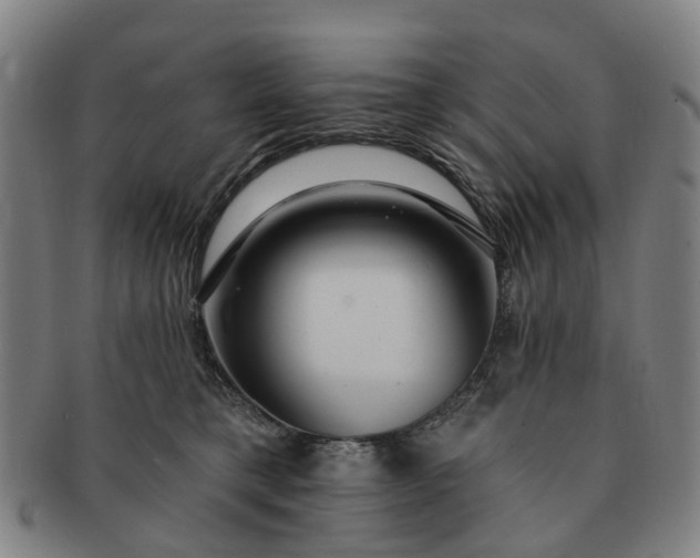 X0000091190421200708231513