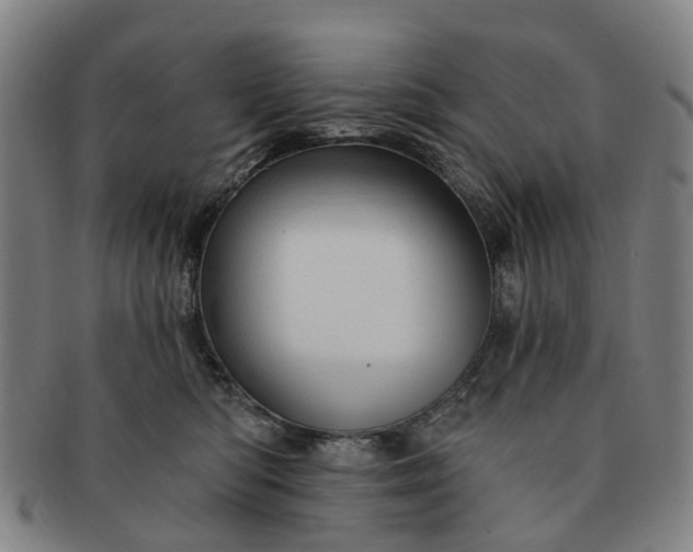 X0000091190422200708231513