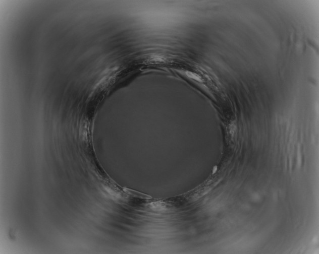 X0000091190423200708231513