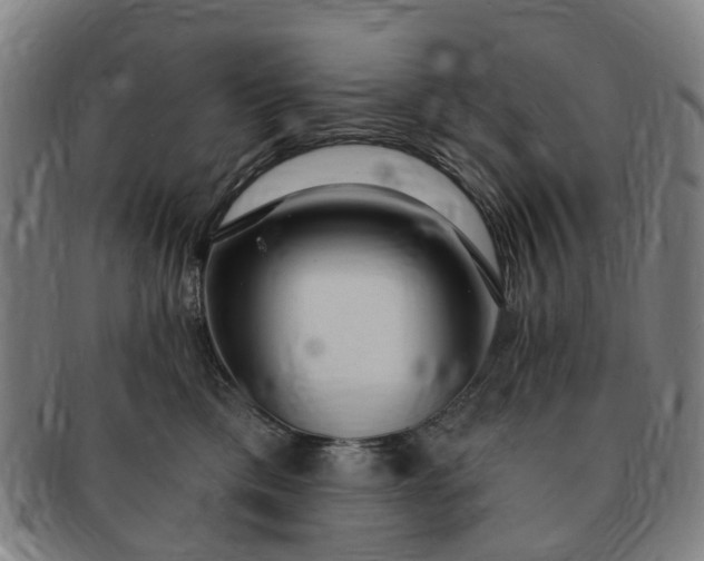 X0000091190425200708231513