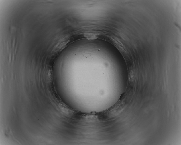 X0000091190426200708231513