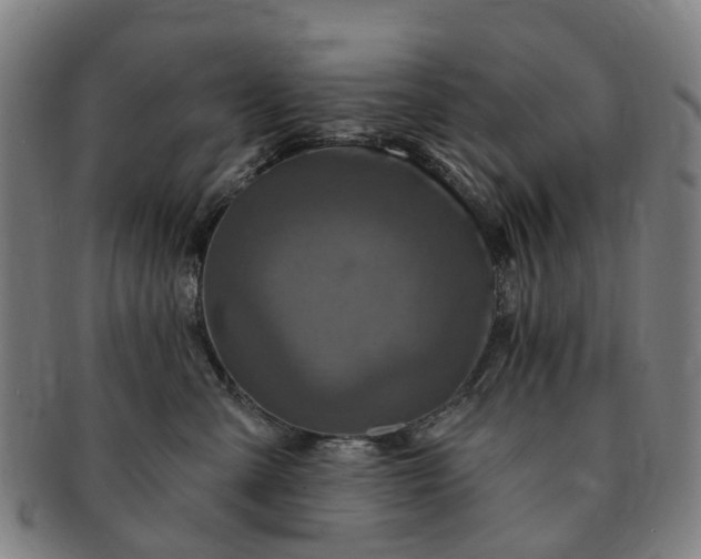 X0000091190427200708231513