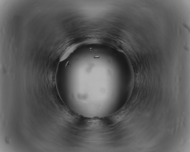 X0000091190428200708231513