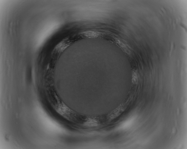 X0000091190431200708231513