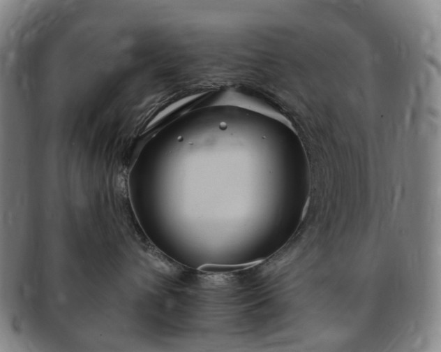 X0000091190432200708231513