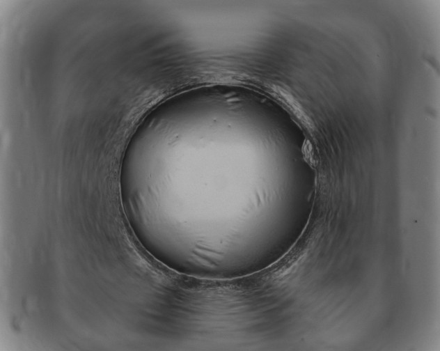 X0000091190433200708231512