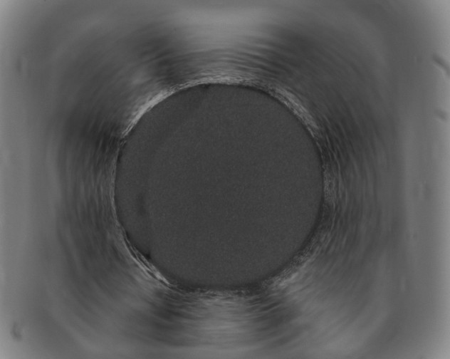 X0000091190434200708231512