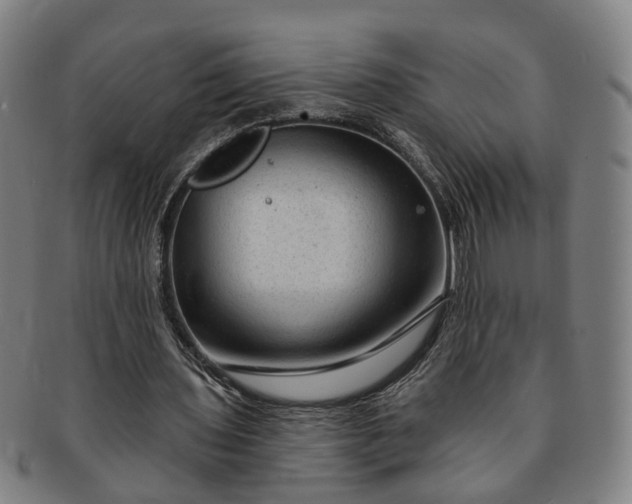 X0000091190435200708231512