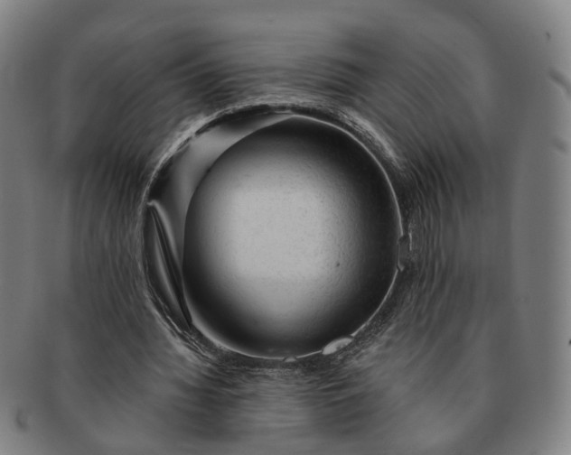 X0000091190436200708231512