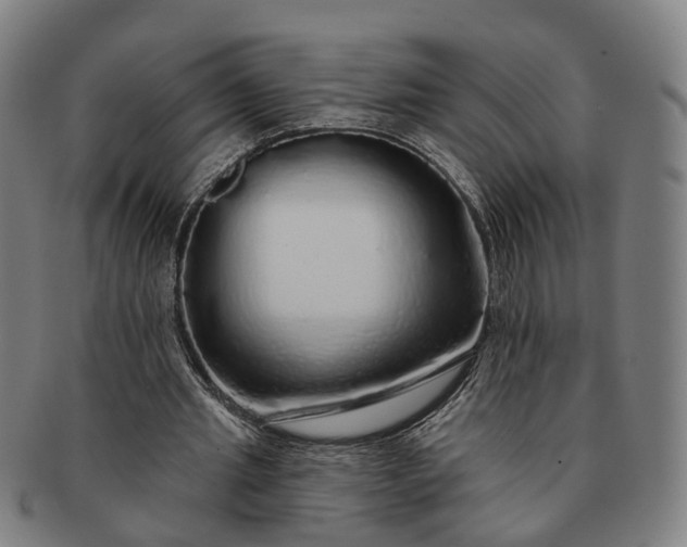 X0000091190437200708231512