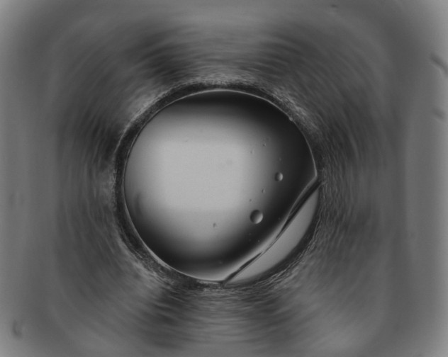 X0000091190440200708231512