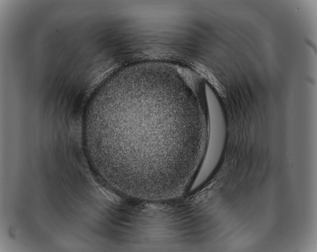 X0000091190442200708231512