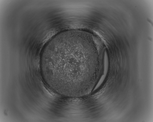 X0000091190443200708231512