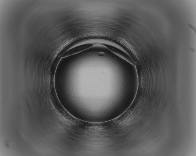 X0000091190444200708231512