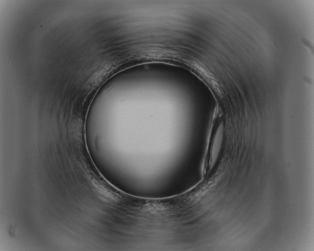 X0000091190445200708231512