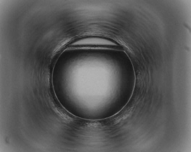 X0000091190446200708231512