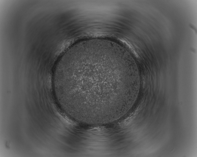 X0000091190447200708231512