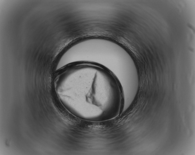 X0000091190448200708231512