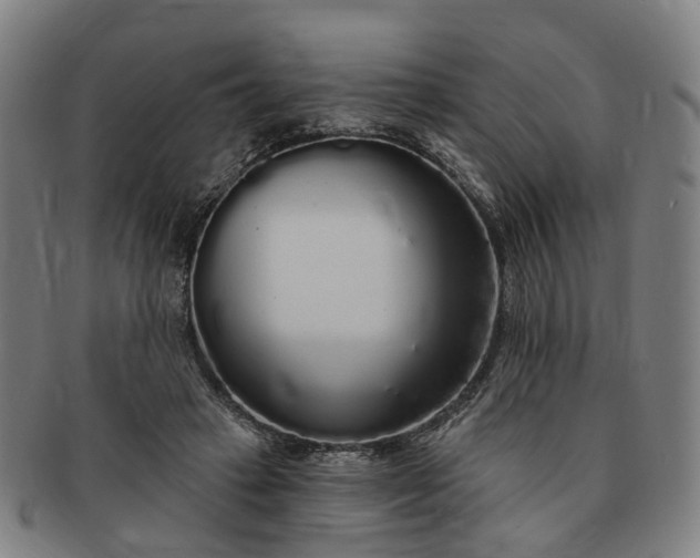 X0000091190449200708231512