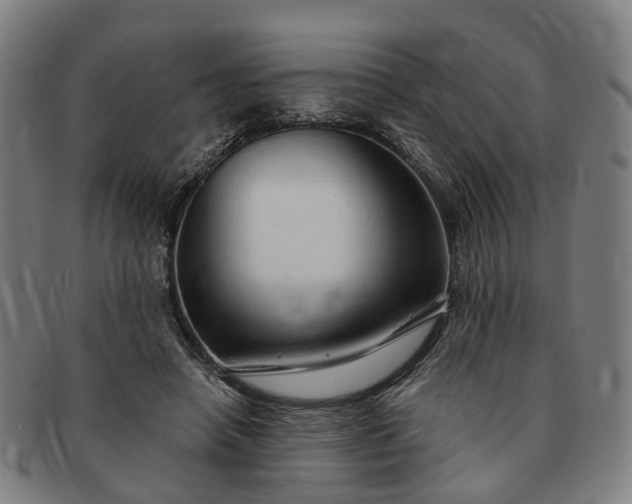 X0000091190450200708231512