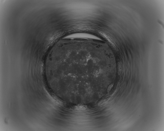 X0000091190451200708231512