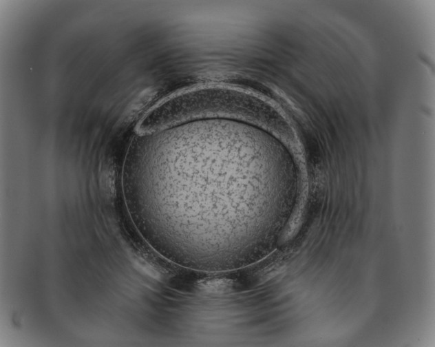 X0000091190452200708231512