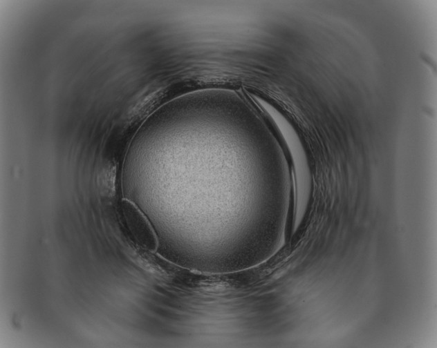 X0000091190454200708231512