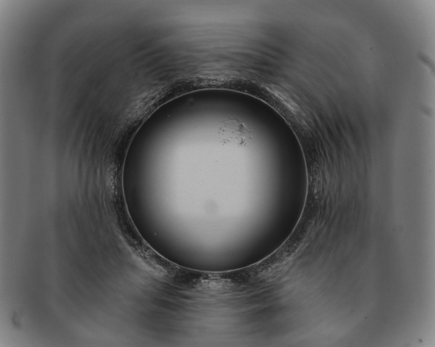 X0000091190455200708231512