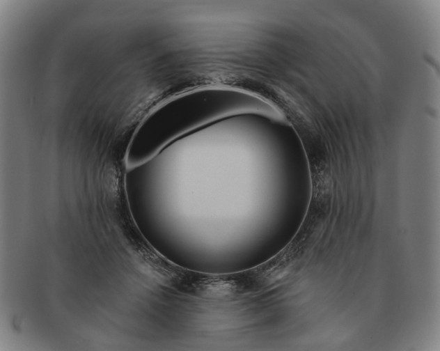 X0000091190456200708231512