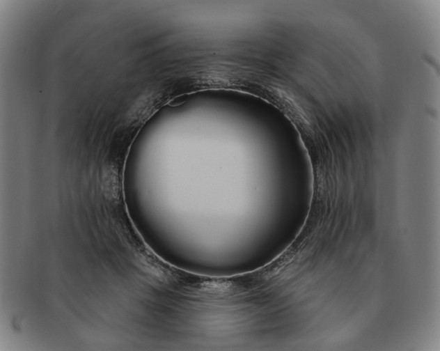 X0000091190457200708231512