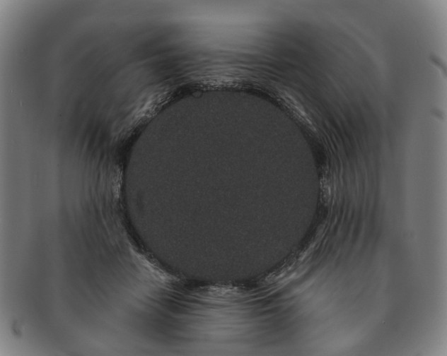 X0000091190458200708231512