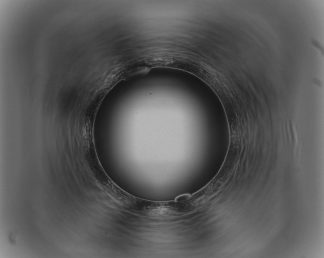 X0000091190460200708231512