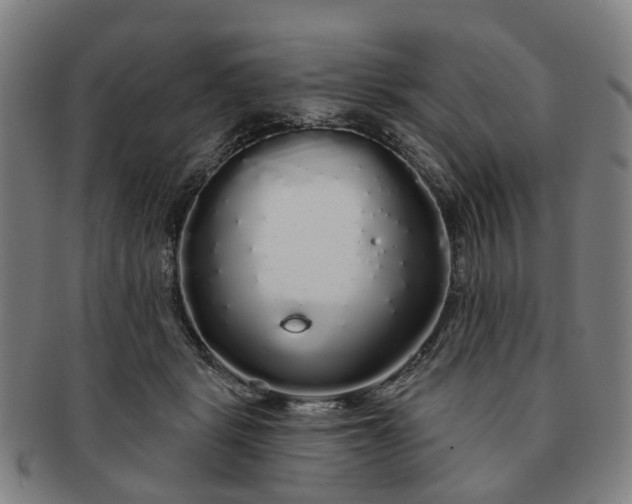 X0000091190461200708231512