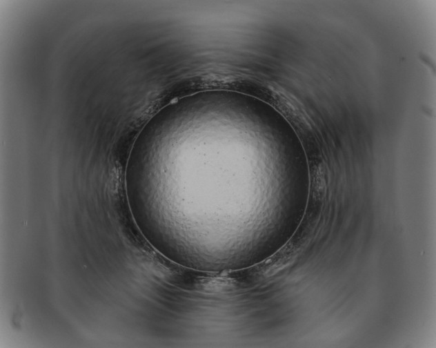 X0000091190463200708231512