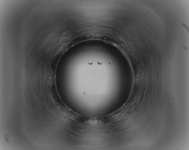 X0000091190464200708231512