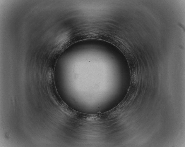 X0000091190468200708231512