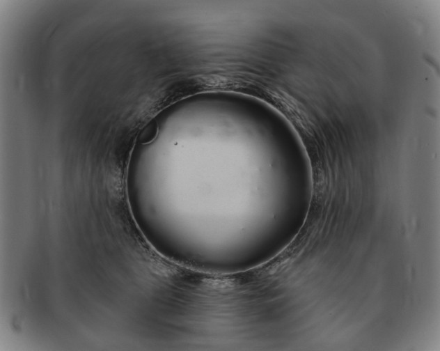 X0000091190469200708231512