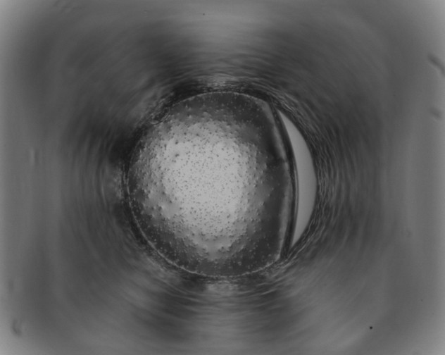 X0000091190470200708231512