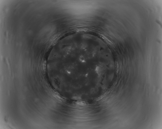 X0000091190475200708231512