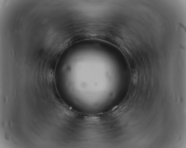 X0000091190476200708231512