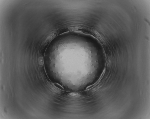 X0000091190477200708231512