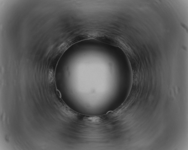 X0000091190478200708231512