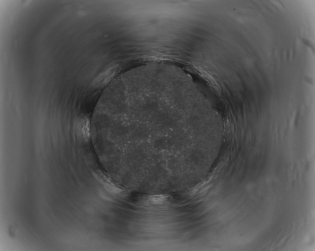 X0000091190479200708231513